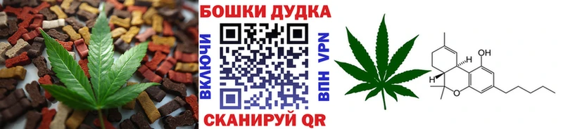 блэк спрут как зайти  Лесной  Cannafood конопля 