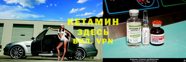 молекула духа Богданович