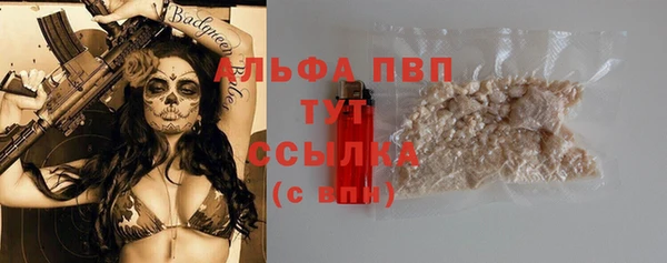 шишки Беломорск
