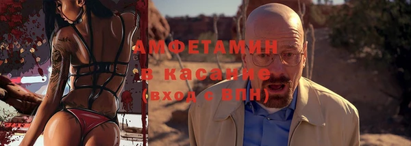 молекула духа Богданович
