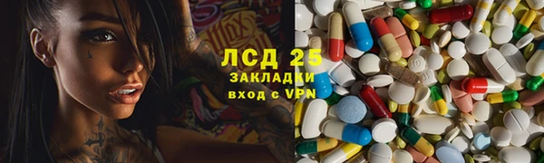 молекула духа Богданович