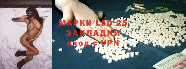 молекула духа Богданович