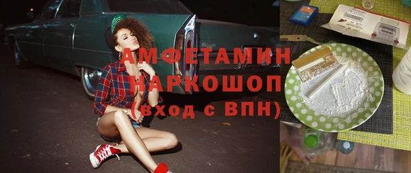 молекула духа Богданович