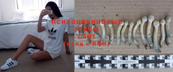 MDMA Богородицк