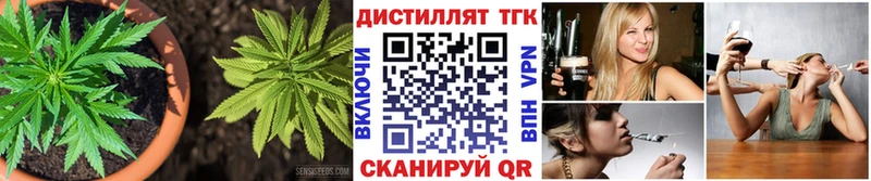 ТГК гашишное масло  Лесной 