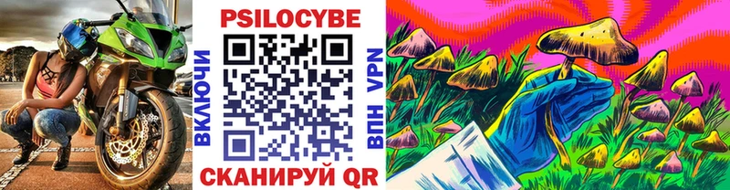 Галлюциногенные грибы Psilocybe  Лесной 